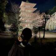 ヒメ日記 2025/11/26 23:48 投稿 ひみこ 奥鉄オクテツ兵庫