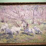 ヒメ日記 2026/03/04 23:57 投稿 ひみこ 奥鉄オクテツ兵庫