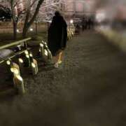 ヒメ日記 2026/03/11 12:47 投稿 ひみこ 奥鉄オクテツ兵庫