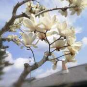 ヒメ日記 2026/03/31 00:04 投稿 ひみこ 奥鉄オクテツ兵庫