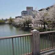 ヒメ日記 2026/04/08 13:33 投稿 ひみこ 奥鉄オクテツ兵庫