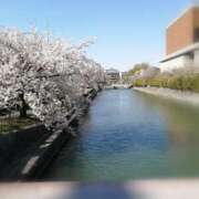 ヒメ日記 2026/04/08 16:01 投稿 ひみこ 奥鉄オクテツ兵庫