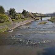 ヒメ日記 2026/04/08 17:39 投稿 ひみこ 奥鉄オクテツ兵庫