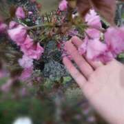 ヒメ日記 2026/04/15 23:12 投稿 ひみこ 奥鉄オクテツ兵庫