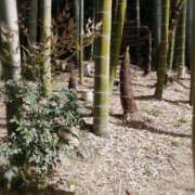 ヒメ日記 2026/04/21 16:02 投稿 ひみこ 奥鉄オクテツ兵庫