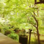 ヒメ日記 2026/04/29 12:45 投稿 ひみこ 奥鉄オクテツ兵庫