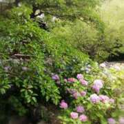 ヒメ日記 2026/06/18 14:06 投稿 ひみこ 奥鉄オクテツ兵庫