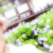 ヒメ日記 2026/06/25 23:44 投稿 ひみこ 奥鉄オクテツ兵庫