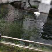 ヒメ日記 2026/09/16 22:02 投稿 ひみこ 奥鉄オクテツ兵庫
