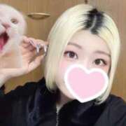 ヒメ日記 2025/02/03 19:12 投稿 なゆか 鶯谷デリヘル倶楽部