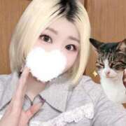 ヒメ日記 2025/02/28 03:02 投稿 なゆか 鶯谷デリヘル倶楽部