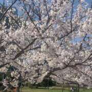 ヒメ日記 2026/04/22 02:38 投稿 ほのか One More奥様　町田相模原店