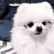 ヒメ日記 2025/10/16 08:52 投稿 りこ 西川口マーメイド