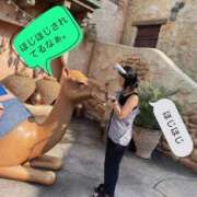 ヒメ日記 2025/09/13 12:36 投稿 ゆう 変態なんでも鑑定団