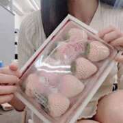 ヒメ日記 2025/01/12 11:05 投稿 なな 谷町秘密倶楽部