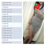 ヒメ日記 2025/03/11 11:05 投稿 なな 谷町秘密倶楽部