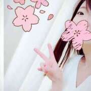 ヒメ日記 2025/03/15 11:05 投稿 なな 谷町秘密倶楽部