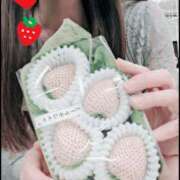 ヒメ日記 2025/03/23 13:05 投稿 なな 谷町秘密倶楽部