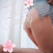 ヒメ日記 2025/04/04 11:05 投稿 なな 谷町秘密倶楽部