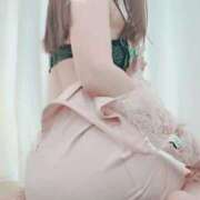 ヒメ日記 2025/04/08 08:05 投稿 なな 谷町秘密倶楽部