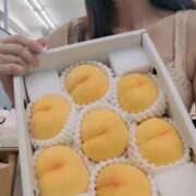 ヒメ日記 2025/07/27 19:05 投稿 なな 谷町秘密倶楽部