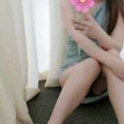 ヒメ日記 2025/08/03 08:05 投稿 なな 谷町秘密倶楽部