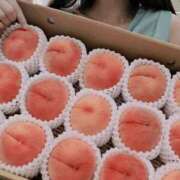 ヒメ日記 2025/09/02 11:05 投稿 なな 谷町秘密倶楽部