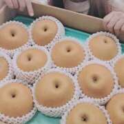 ヒメ日記 2025/10/05 22:05 投稿 なな 谷町秘密倶楽部