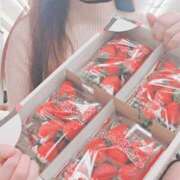 ヒメ日記 2025/11/12 12:05 投稿 なな 谷町秘密倶楽部