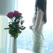 ヒメ日記 2025/11/29 09:35 投稿 なな 谷町秘密倶楽部