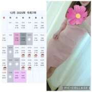 ヒメ日記 2025/12/11 11:05 投稿 なな 谷町秘密倶楽部