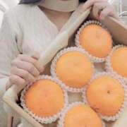 ヒメ日記 2026/01/22 11:05 投稿 なな 谷町秘密倶楽部