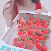 ヒメ日記 2026/02/06 11:05 投稿 なな 谷町秘密倶楽部