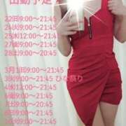 ヒメ日記 2026/02/21 11:05 投稿 なな 谷町秘密倶楽部