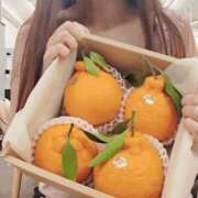 ヒメ日記 2026/04/03 13:05 投稿 なな 谷町秘密倶楽部