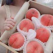 ヒメ日記 2026/08/04 11:05 投稿 なな 谷町秘密倶楽部