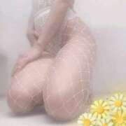 ヒメ日記 2025/04/11 10:20 投稿 はづき 谷町秘密倶楽部