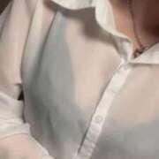 ヒメ日記 2025/11/16 11:13 投稿 かい FROZEN(フローズン)