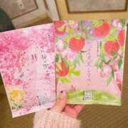 ヒメ日記 2025/02/11 02:30 投稿 ほのか 谷町秘密倶楽部