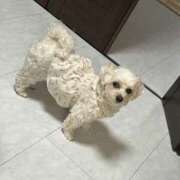 ヒメ日記 2025/05/25 15:20 投稿 ほのか 谷町秘密倶楽部