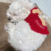 ヒメ日記 2025/07/08 16:05 投稿 ほのか 谷町秘密倶楽部