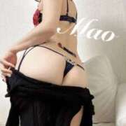 ヒメ日記 2024/12/31 00:55 投稿 まお 谷町秘密倶楽部