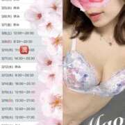 ヒメ日記 2025/03/01 22:40 投稿 まお 谷町秘密倶楽部