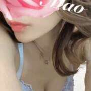 ヒメ日記 2025/04/17 08:10 投稿 まお 谷町秘密倶楽部