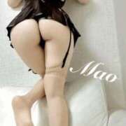 ヒメ日記 2025/05/31 11:05 投稿 まお 谷町秘密倶楽部