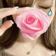 ヒメ日記 2025/06/06 14:45 投稿 まお 谷町秘密倶楽部