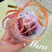 ヒメ日記 2026/02/14 20:55 投稿 まお 谷町秘密倶楽部