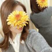 ヒメ日記 2025/06/12 07:55 投稿 まりあ 谷町秘密倶楽部