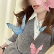 ヒメ日記 2026/04/11 20:15 投稿 まりあ 谷町秘密倶楽部