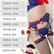 ヒメ日記 2024/12/19 21:50 投稿 まりこ 谷町秘密倶楽部